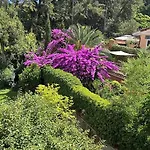 Bed & Breakfast Riari Garden Rom