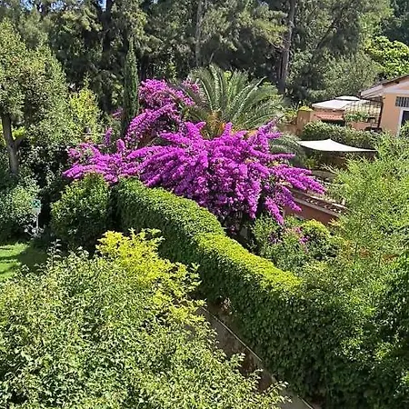 Oda ve Kahvaltı Riari Garden Roma