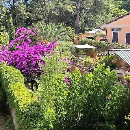 Riari Garden Rom